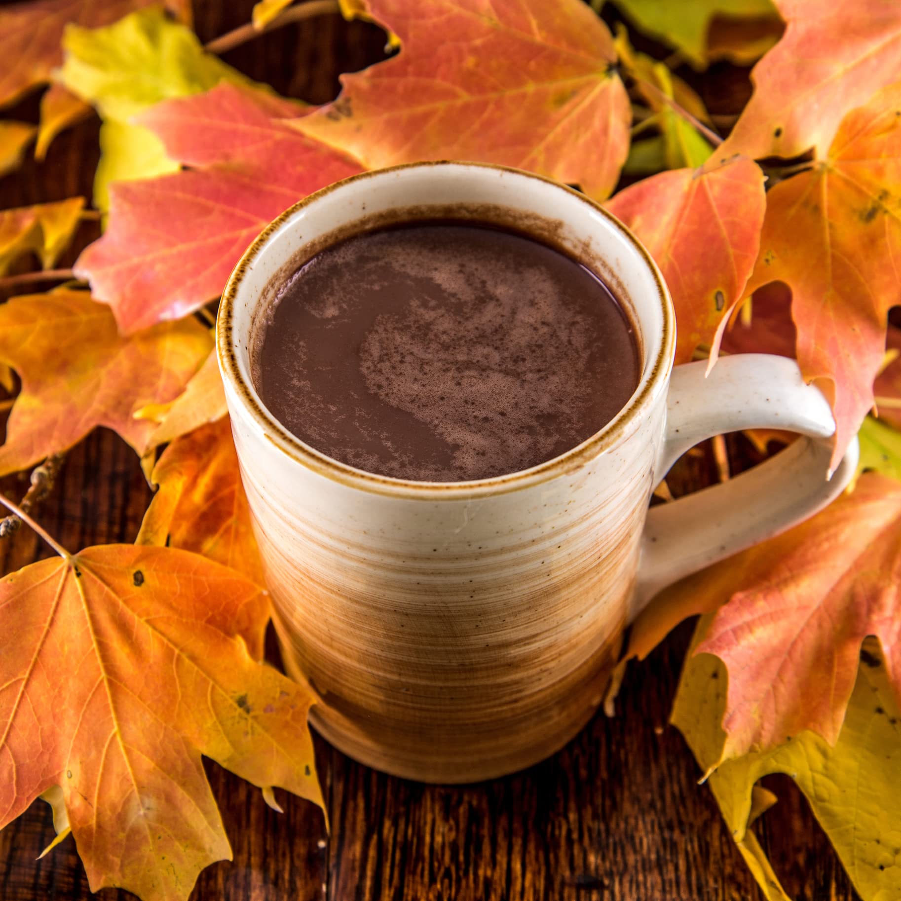 Gourmet Hot Cocoa Mix Variety Pack - Classic, Chocolate Raspberry, Salted Caramel, & Peppermint Hot Chocolate Mix Sets - 32 Count