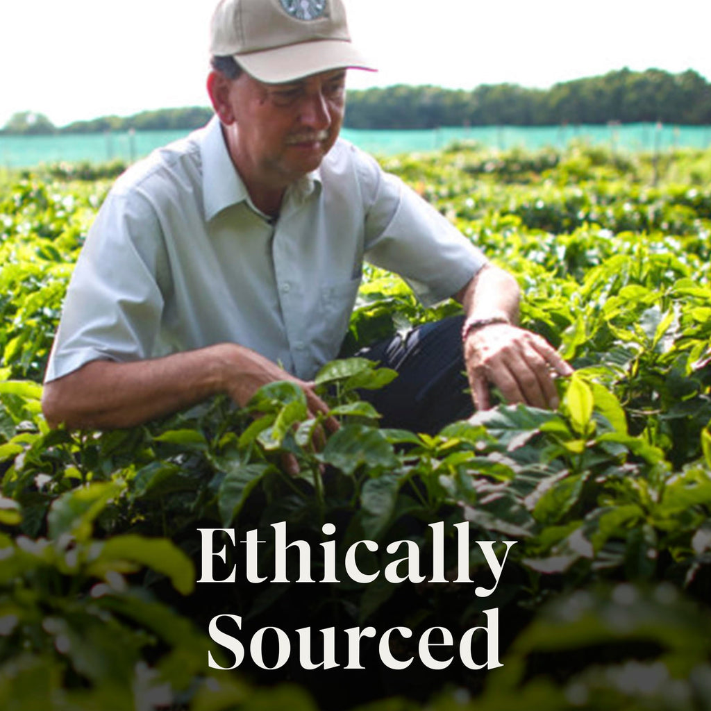 Starbucks Coffee K-Cup Pods,  Flavored Selection Coffee, Naturally Flavored, 100% Arabica, 6 Boxes (60 Pods Total)