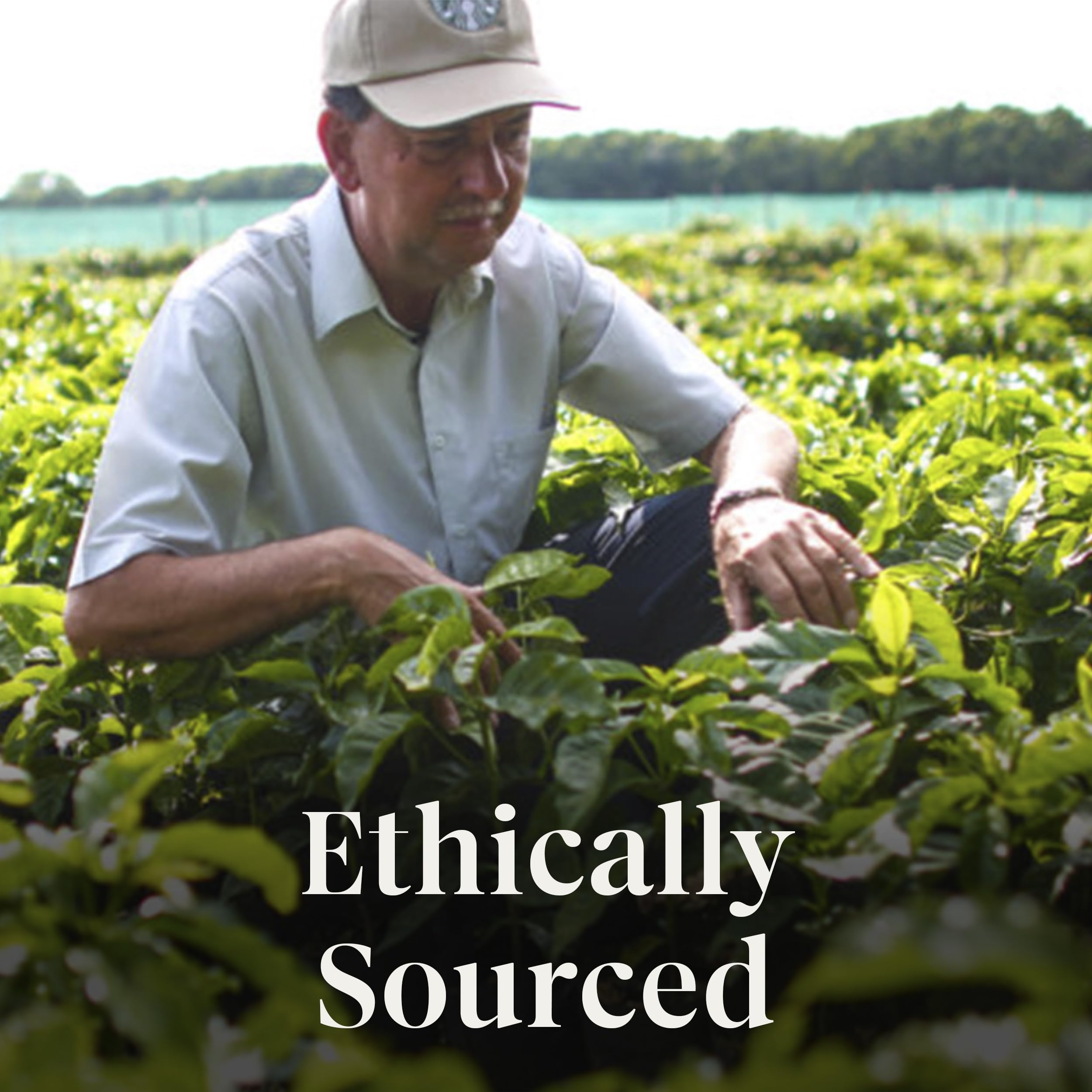 Starbucks Coffee K-Cup Pods,  Flavored Selection Coffee, Naturally Flavored, 100% Arabica, 6 Boxes (60 Pods Total)