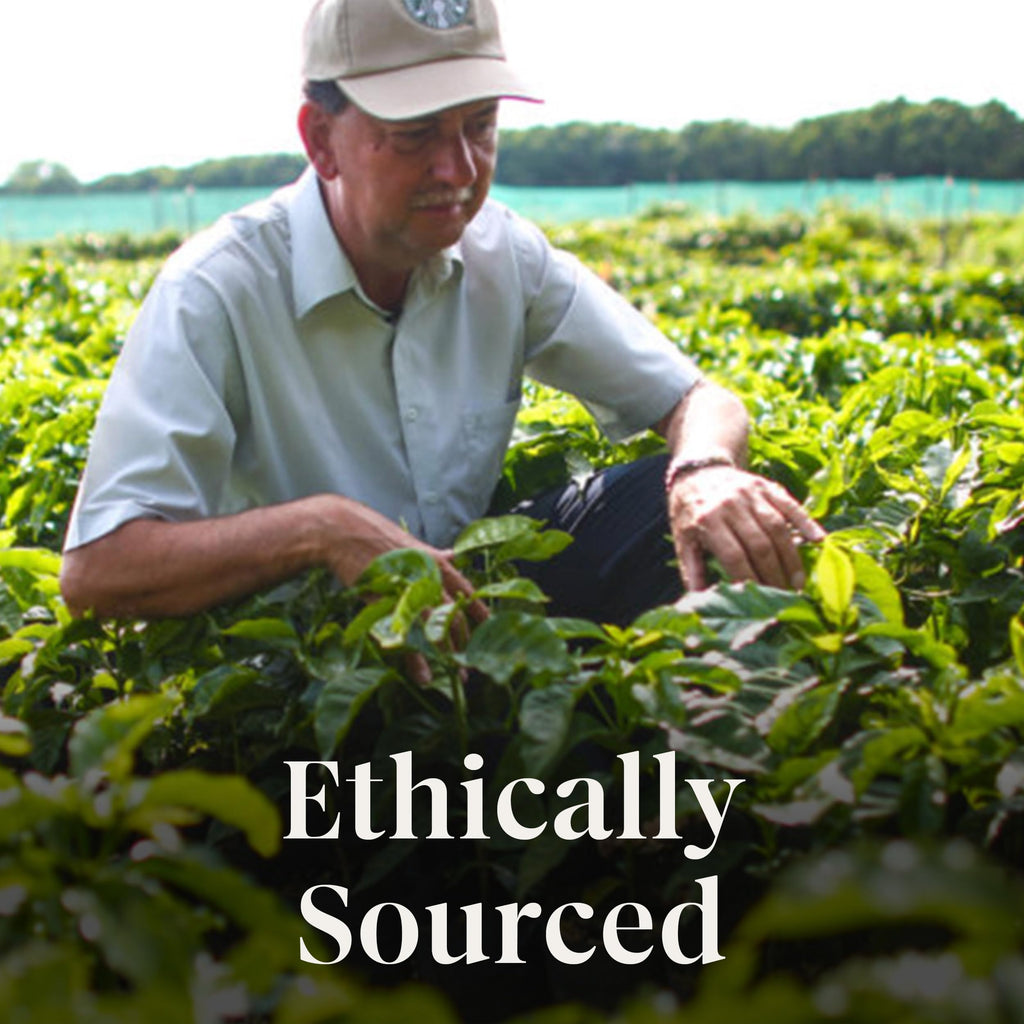 Starbucks Coffee K-Cup Pods,  Flavored Selection Coffee, Naturally Flavored, 100% Arabica, 6 Boxes (60 Pods Total)