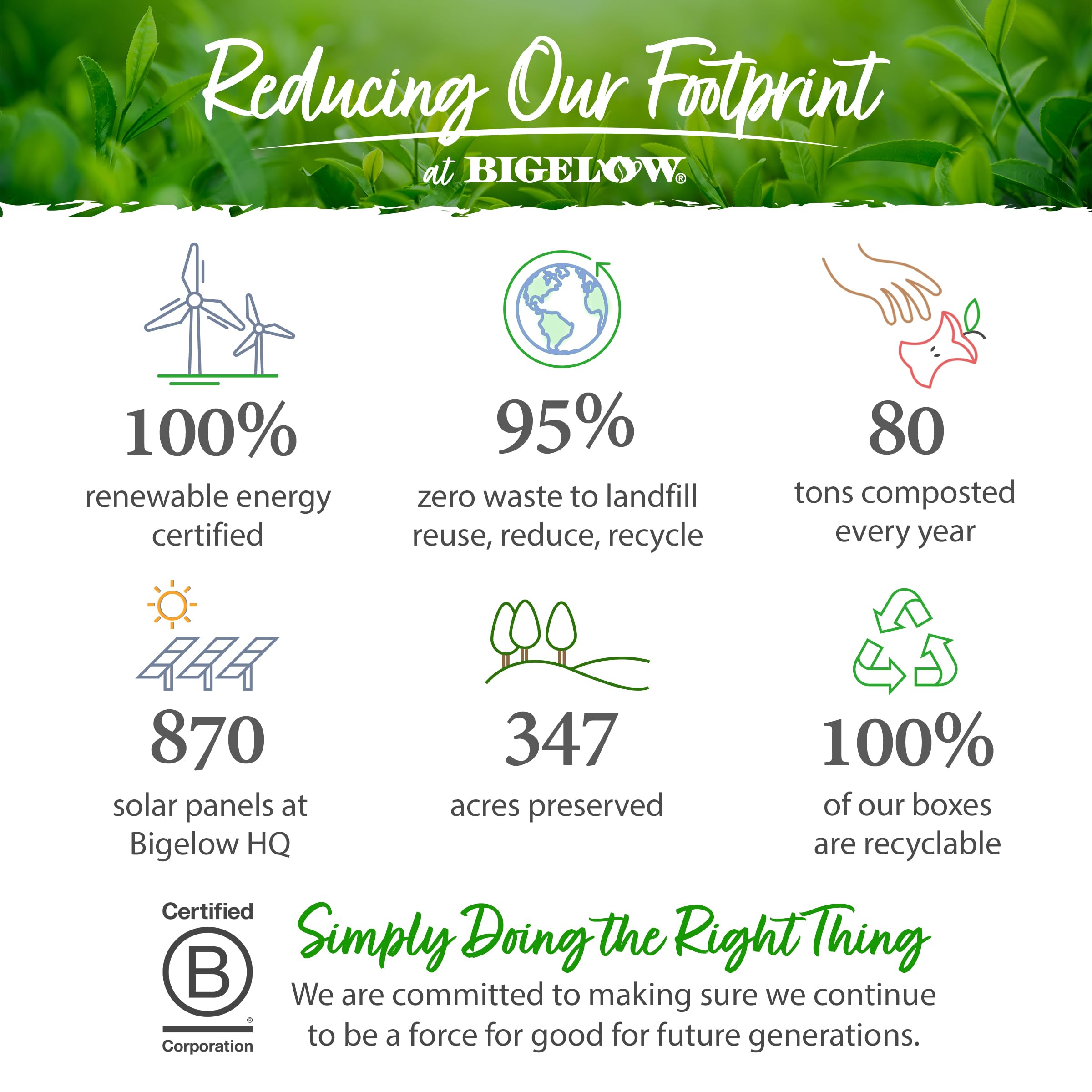 Bigelow Tea Assortment, Green, Black, and Herbal Teas with English Teatime, Constant Comment, Lemon Lift, Earl Grey, Green, Cozy Chamomile, Orange Spice, Mint Medley, 64 Tea Bags (Pack of 1)