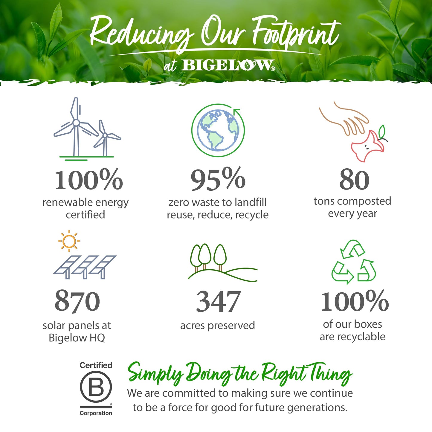 Bigelow Tea Assortment, Green, Black, and Herbal Teas with English Teatime, Constant Comment, Lemon Lift, Earl Grey, Green, Cozy Chamomile, Orange Spice, Mint Medley, 64 Tea Bags (Pack of 1)