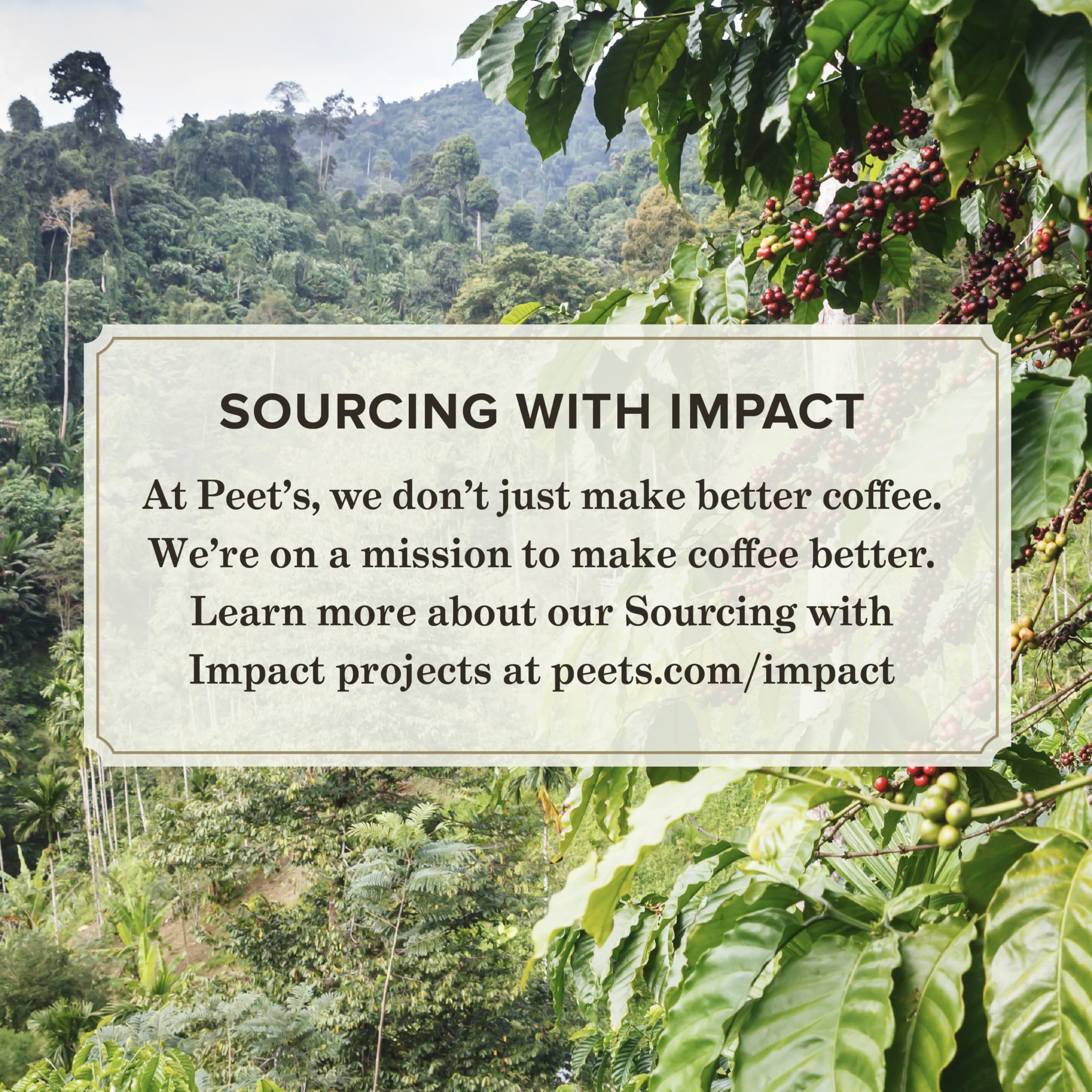 Peet's Coffee, Dark Roast Ground Coffee - French Roast 28 Ounce Bag