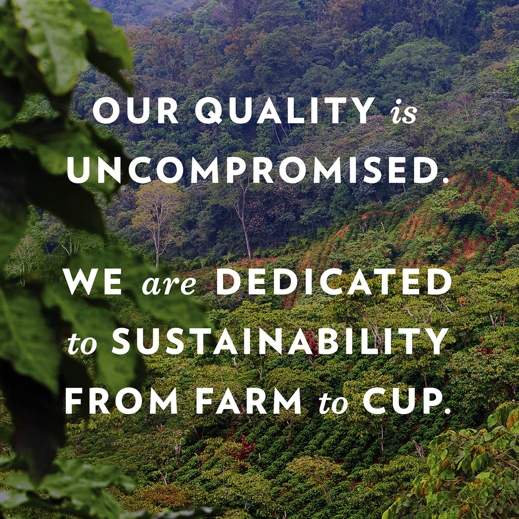 Community Coffee  Flavored Selections 12 Ounce, Medium Roast Ground, 12 Ounce (Pack of 1)