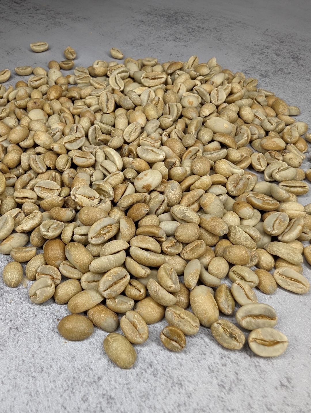 SINGLE ORIGIN: ETHIOPIA HAMBELA GORO