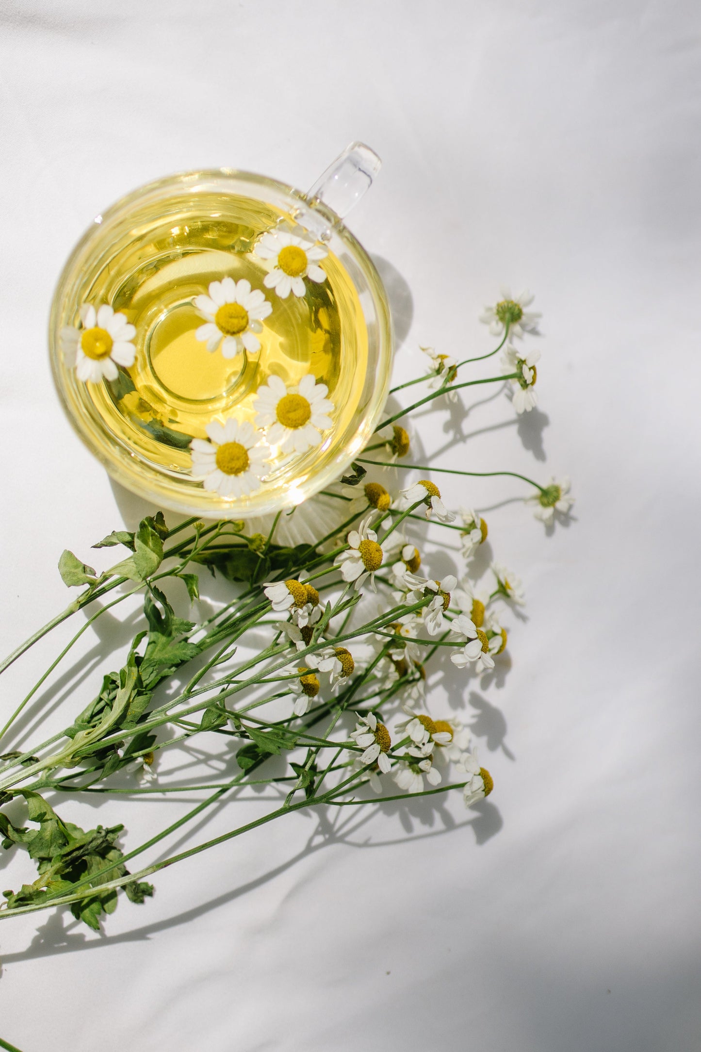 Soft Chamomile Medley