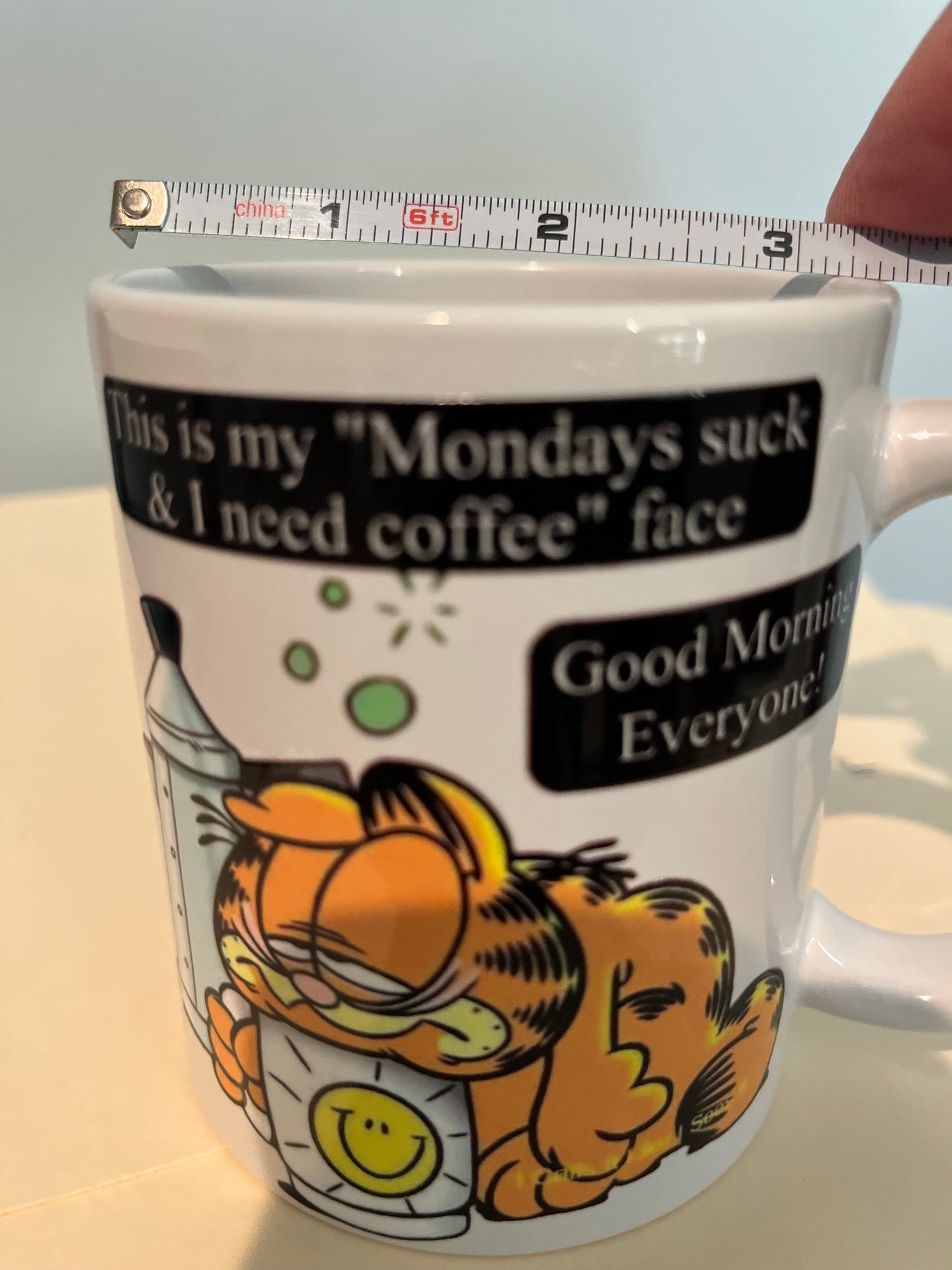 Garfield - Monday Morning I Need Coffee Face 15oz